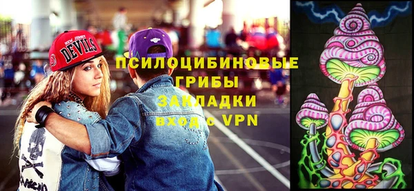 прущая мука Михайлов