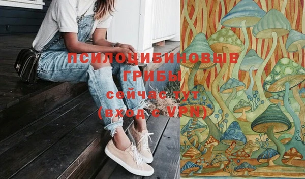 прущая мука Михайлов
