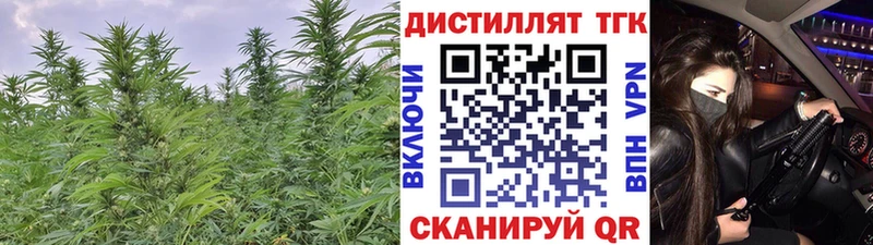 Купить  Безенчук  Дистиллят ТГК THC oil 